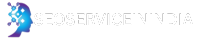seoserviceinindia